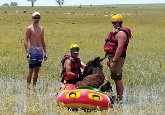 Inland Rescue Thumb