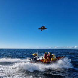 Nsri station15 gallery5 500x500
