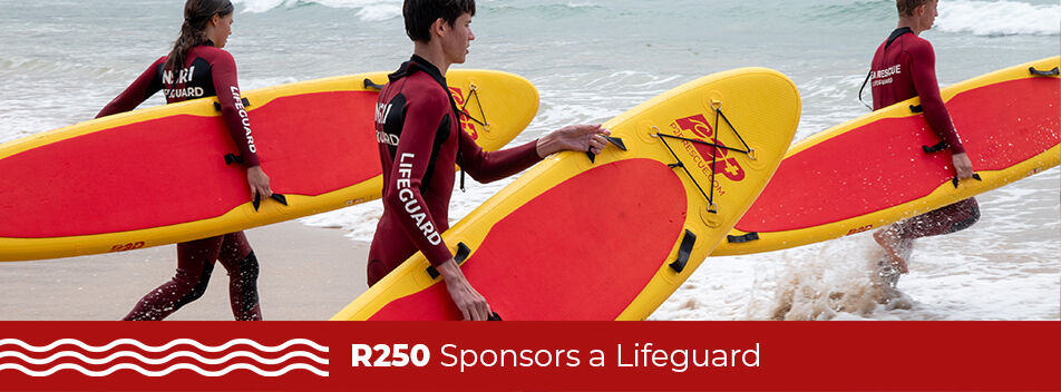 BALST What It Does Lifeguard